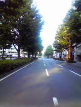 3f19f2b3.jpg