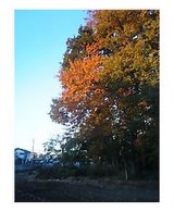58748a03.jpg