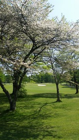 20160523_142909