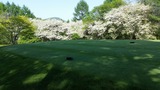 20160523_150033