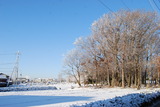 DSC_6481