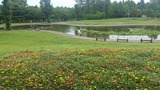 20170717_130414_resized