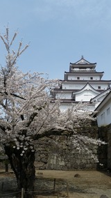 20160413_114104