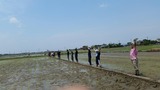 20170610_115945_resized