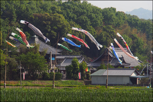 20120505