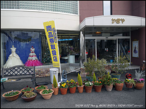 P1000518