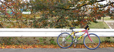 bycycle3