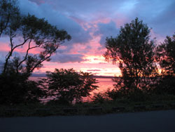 blog0819g