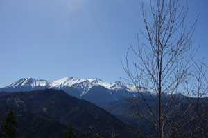 nigorigo1