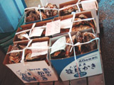 これもシーズンの牡蠣が箱売りであります。