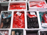冬のいろいろな魚が出回っています。