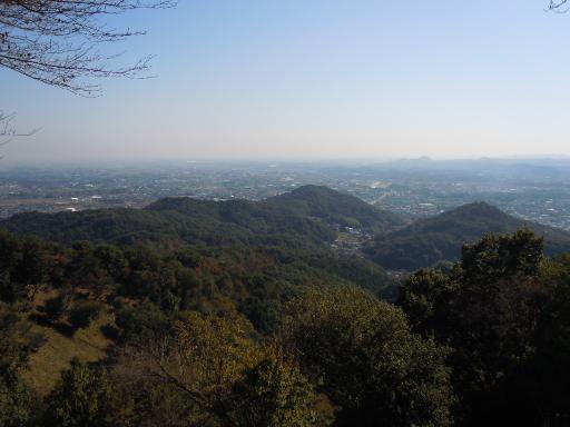 20101006