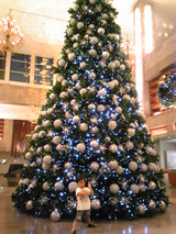 987ba878.JPG