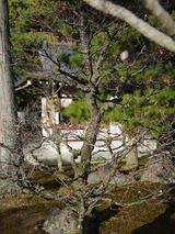 智積院2010