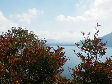 ������2011-2