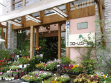 �ֺ�2009-1