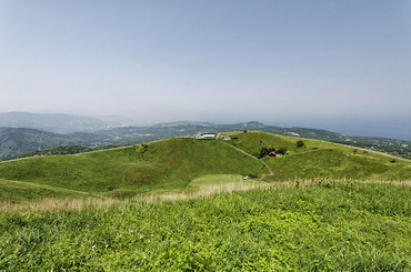 Âç¼¼»³2013