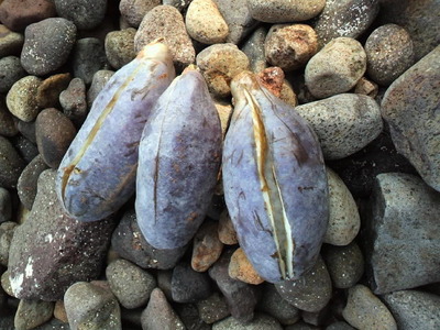 2011101009490000
