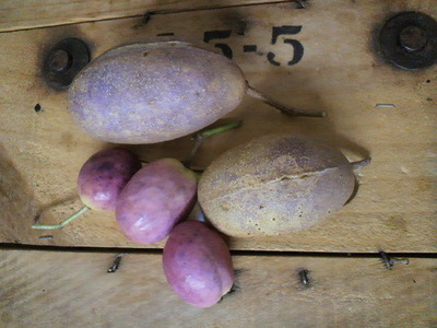 2011102514370000