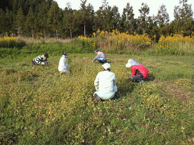 2011102813490000