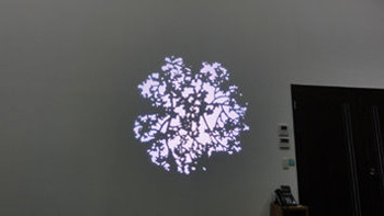 4-gobo
