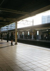 69730025
