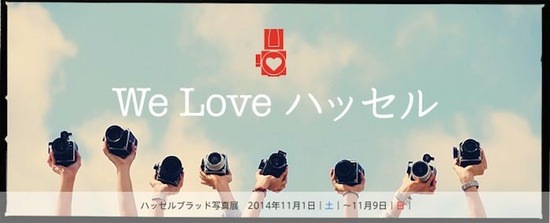 lovehassel_w740h300
