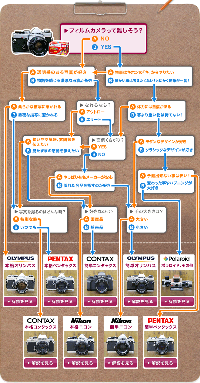 slr_img_chart02