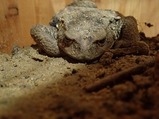 P9130333