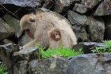 IMG_3677