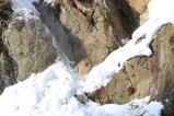 IMG_2520