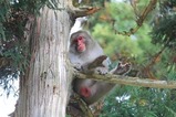 IMG_1673
