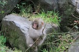 IMG_4924