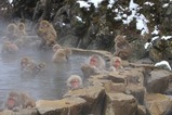IMG_8734