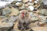IMG_1437