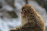IMG_1962