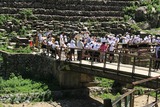 IMG_5176