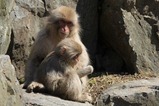 IMG_2971