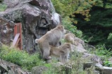 IMG_4905