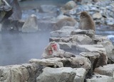 IMG_9059
