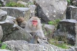 IMG_5154