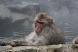 IMG_6023