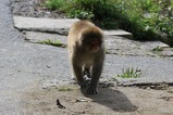 IMG_1635