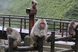 IMG_4887
