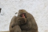 IMG_5972