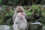 IMG_4931