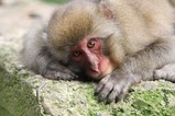 IMG_1446