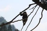 IMG_4467