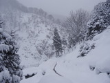 DSC01446