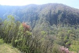 IMG_0098